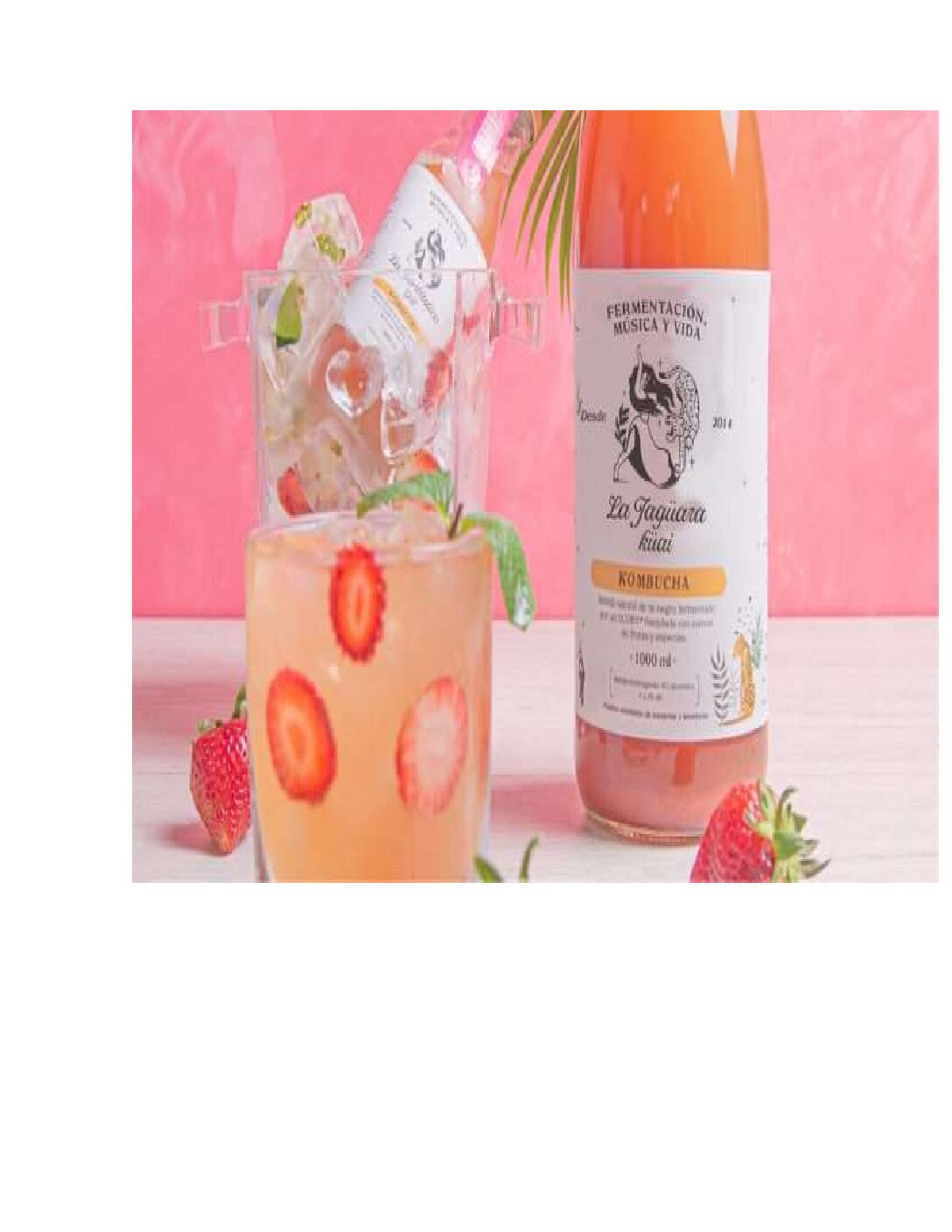 KOMBUCHA DE FRESA SALVAJE -