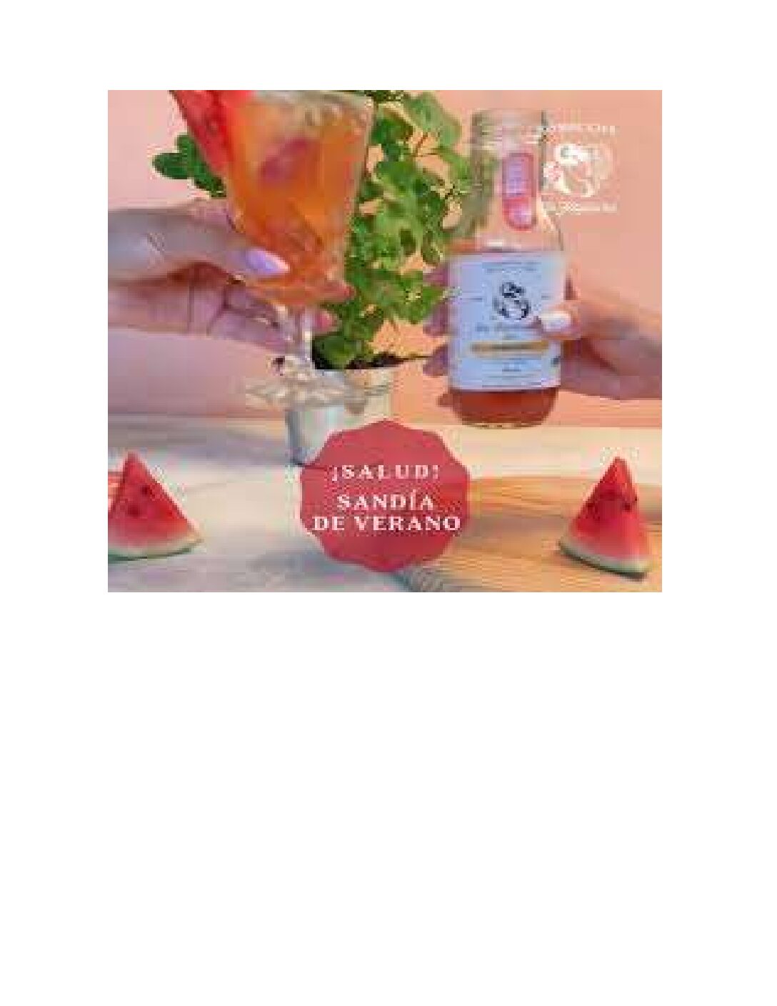 KOMBUCHA DE SANDÍA DE VERANO