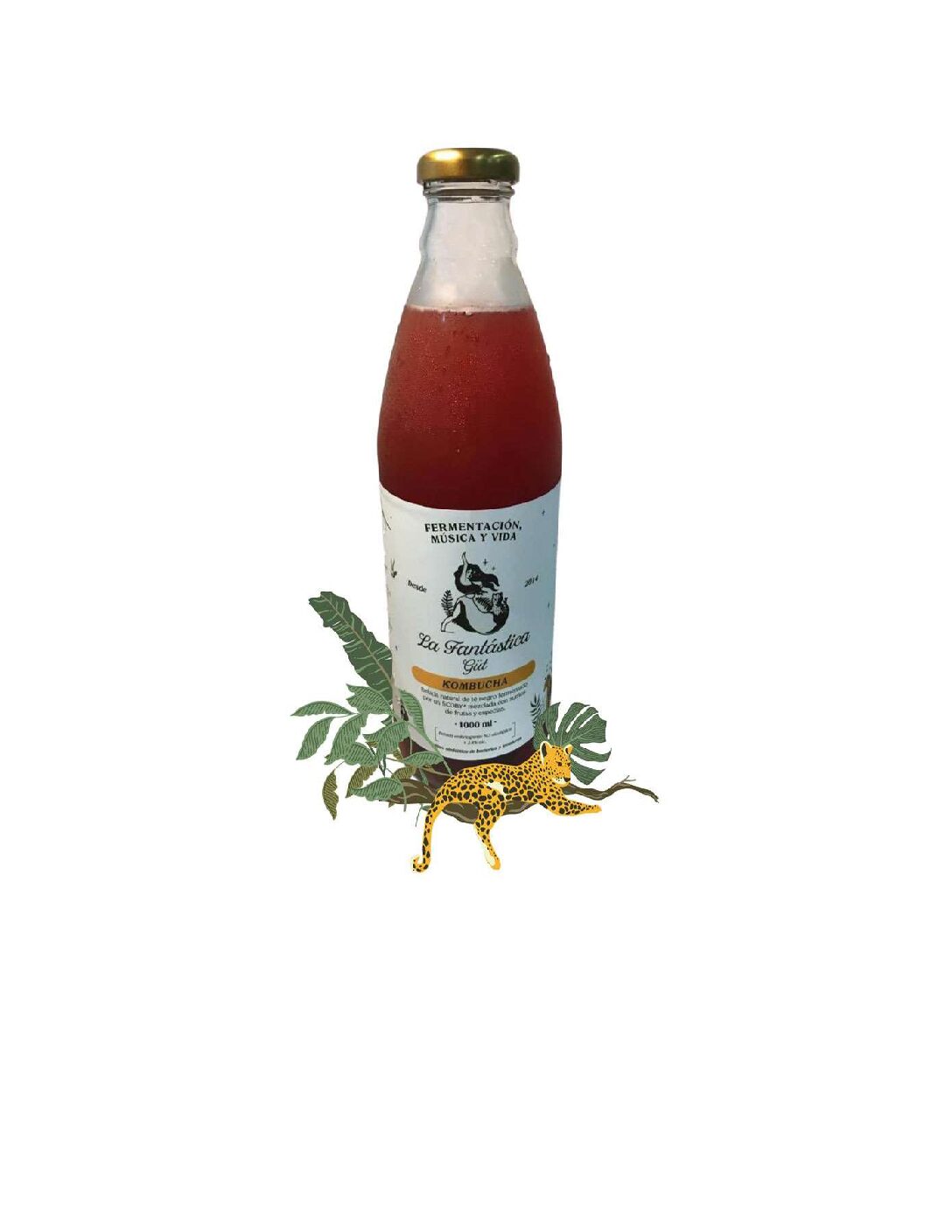 KOMBUCHA DE VIENTO DE HIBISCUS -