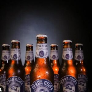 CERVEZA TIERRA GRATA x 335 ml