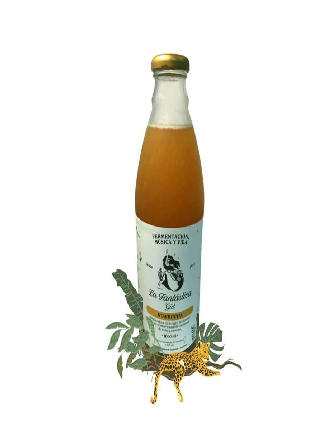 KOMBUCHA DE PLAYA TROPICAL